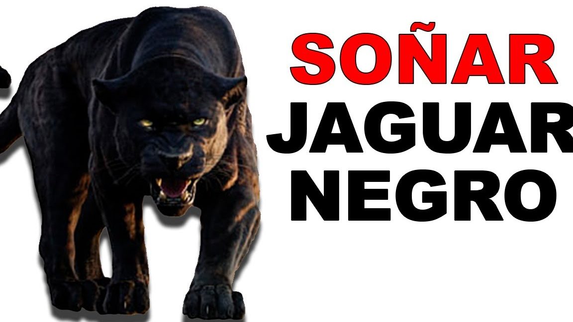 sonar jaguar