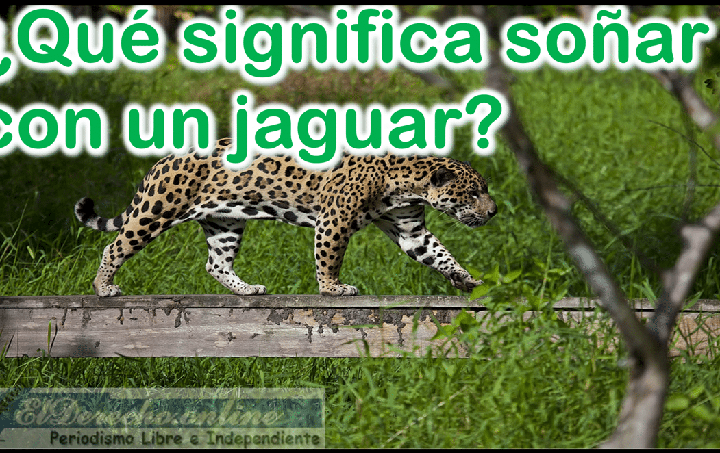sonar jaguares