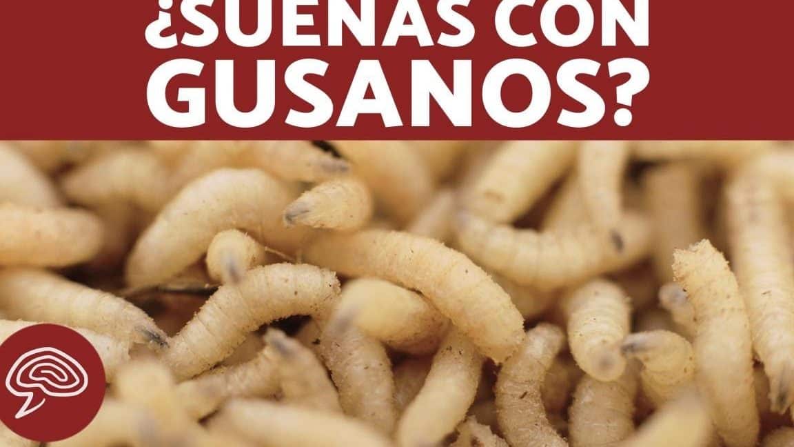 sonar gusanos 2