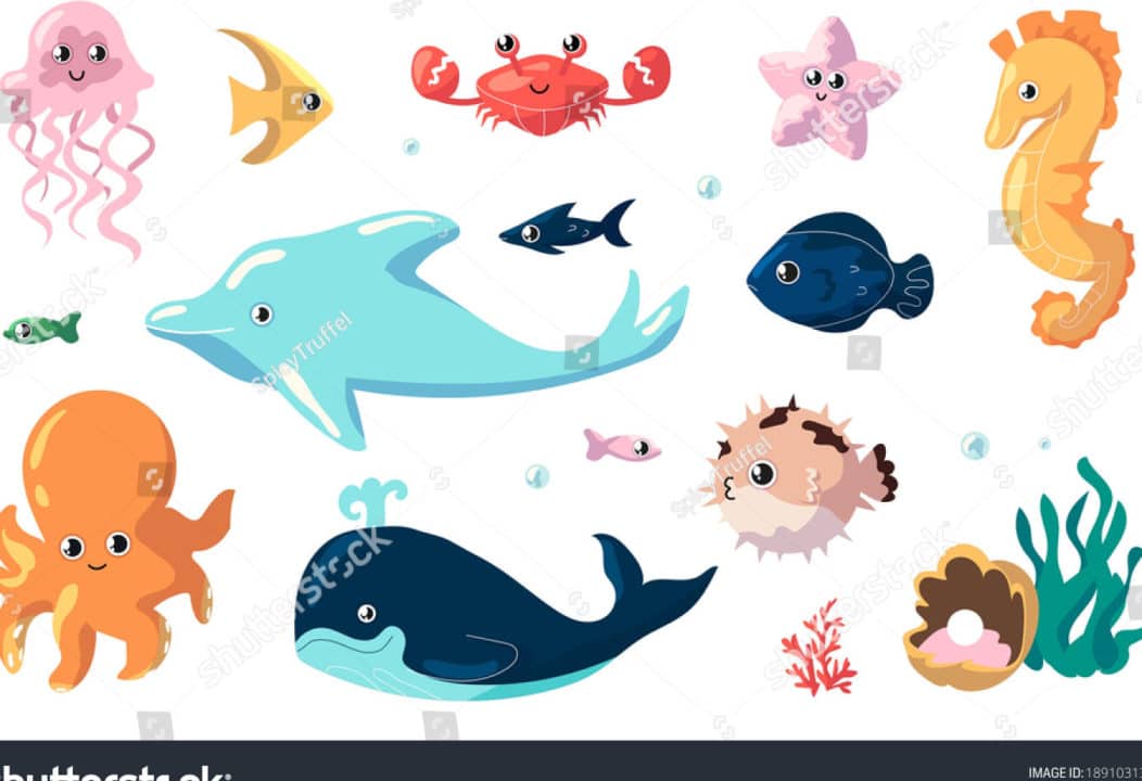 animales marinos