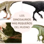 dinosaurios pequenos