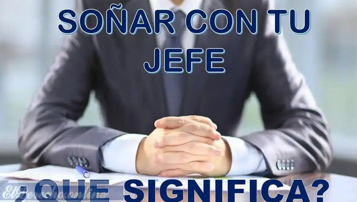 sonar jefe