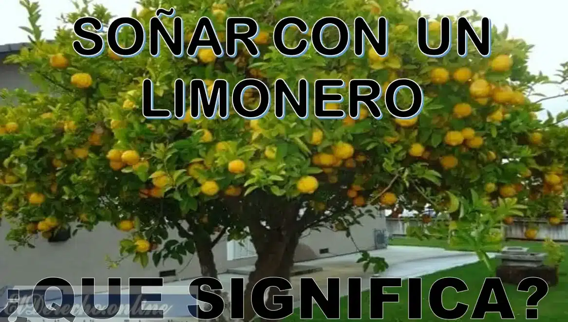sonar limonero