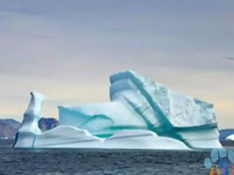 sonar icebergs
