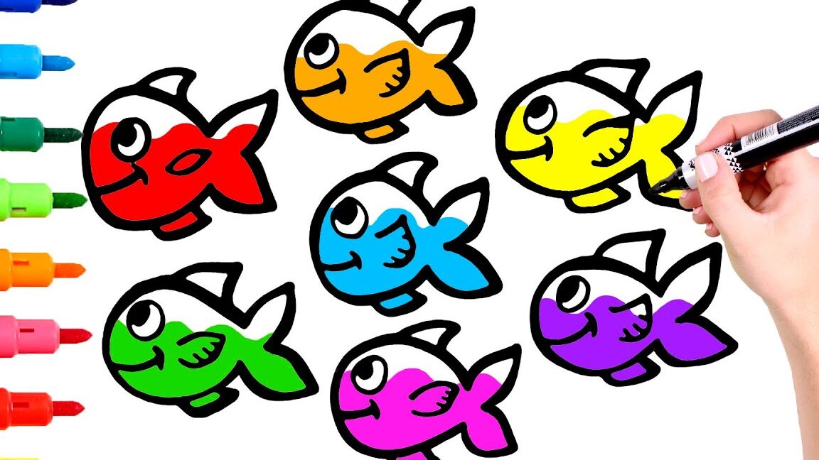 peces colores